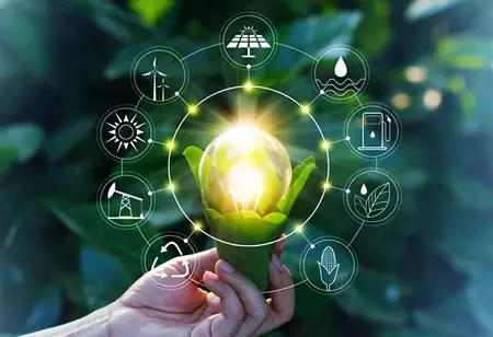 Electrical Safety and Efficiency: The Importance of Testing