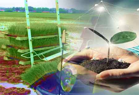 Understanding the Role of Electrical Transmission 
